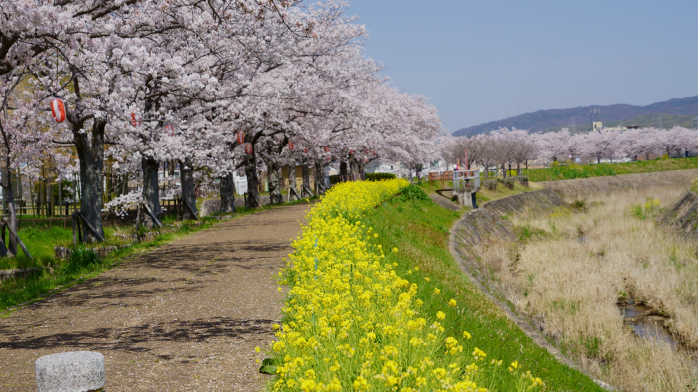 【質問日時の新しい順】観光地、行楽地 解決済みの質問 - Yahoo!知恵袋