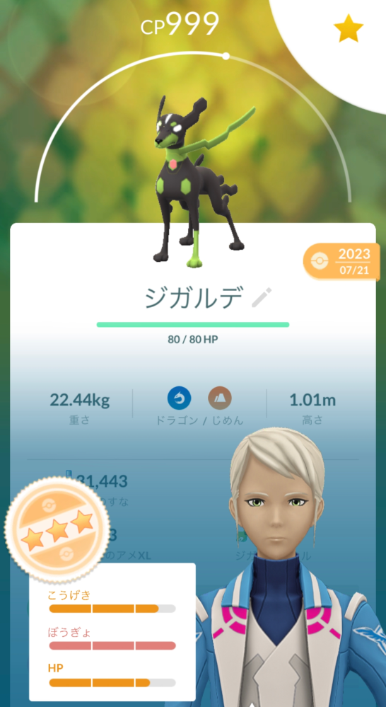 ポケモンGOについての質問です このジガルデって強化アリですか？