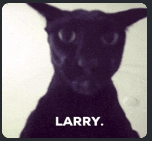 LARRYと黒い猫のミームについて、 このミームはどういうミームですか？