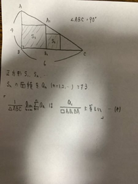 超格安価格 数学の質問です。画像の設定において、(＊)と書いていました その他