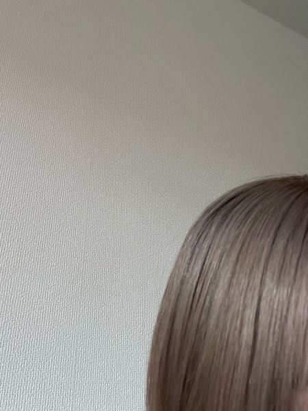 これって色落ちしたらどこまで明るくなりますか？ 抜きっぱなしブロンドレベルに明るくなることはもうないのでしょうか？ そもそも金髪に戻りますか？ ほぼ白の金髪がよかったのですが、 抜きっぱなしだと少し黄色っぽかったのと、カラーリングした方が髪の中に成分が入ってダメージが抑えられると言われ、色を入れてもらいました 頼んでないのにこんなにグレーにされました せっかく色履歴無くしたのにまじでうざいです