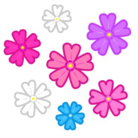 芝桜といったら何色をイメージしますか？