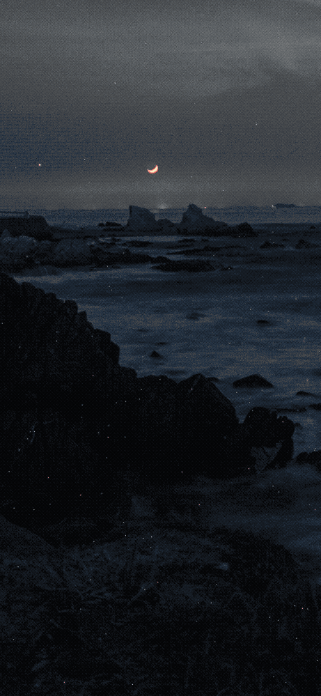 写真を現像する際に斑点が出てきたのですがこれはなんですか？ちなみにゴミでもなく、ノイズフィルターをかけても消えませんでした。