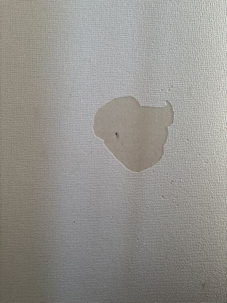 至急です。 最近何故か部屋に画鋲で穴を開けたり破ってしまう癖が出来てしまいました。辞めたいです。 いつの間にかここまで破っていてどうしようと思って調べてみたら壁を1面張り替えないといけないと書いてありどうしたらいいか分かりません。この癖を辞めたいし、どうしたらいいでしょうか。壁を張り替えるとなったらきっと相当な金額になりますよね？代わりになるようなものありませんか？( ߹꒳​߹ )