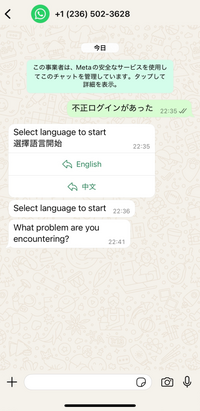 確認用　タグサンプル　初回メッセージからお知らせください SMSに、WhatsAppからこのようなメッセージが届きまし - Yahoo