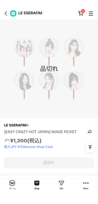 ルセラフィムの2025LESSERAFIMTOUR'EASYCRAZYHOT' - Yahoo!知恵袋