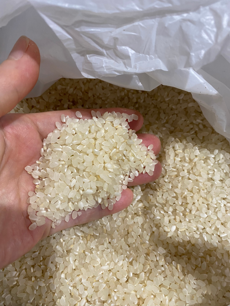 精米したお米について精米機で上白で精米しました。2/3程は真っ白のお