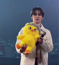 straykidsについて下の画像でリノが持っているポガリの
