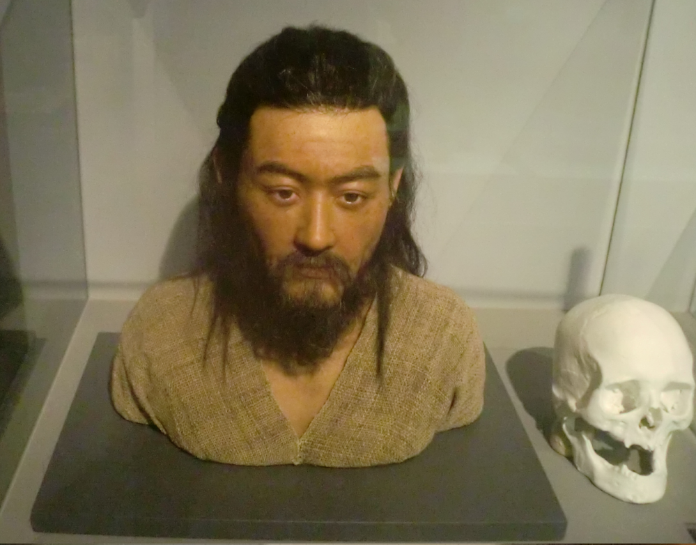 【新町支石墓群9号墓出土の頭蓋骨】 先日、「魏志」倭人伝の伊都国の謎に近づく為、糸島市の志摩歴史資料館（旧、志摩町ですのでネット検索では支障があるようです）に10年ぶりに行ってきました。 すると、添付画像の新町遺跡の支石墓群9号墓出土の頭蓋骨の複製が置いてありました。 「おおー！オダギリジョーが居る♡」と心の中で叫びました。 私の大好きな薩摩隼人風の俳優で、吉備の津山市出身、血液型は私と同じO型だからです。 私の薩摩隼人のイメージは西郷さんの銅像のような丸っこい顔ではなく、キリリと細身です。 でも、良く見たら、少し年輩の様でした。 説明書きがなかった？ので、帰宅して調べたら、下記の情報がありました。 毎日新聞2025/3/6 目鼻立ちくっきり、弥生人の復顔像 「新町支石墓群」9号墓出土の頭蓋骨 糸島市が制作 「縄文ベース、渡来形質と融合」 糸島市の国史跡「新町支石墓群」9号墓から出土した弥生時代早期（2500年以上前）の頭蓋骨（とうがいこつ）を元に市が、生前の顔立ちを復元した復顔像を制作した。 復顔像は胸像で高さ45センチ、肩幅42センチ、顔の長さ24センチのFRP（繊維強化プラスチック）製。 推定年齢50歳前後の男性で毛髪やひげもあり、目鼻立ちがくっきりしているのが特徴だ。 【糸島市】復顔像を糸島市公開 2025 3/10（糸島新聞社） 弥生時代早期から混血進む https://itoshima-np.co.jp/2025/03/10/shinmachishisekibogun_zugaikotsu/ ここで質問です。 この渡来形質と融合の縄文人が、その後、伊都（井田：イタ）王国設立（弥生時代中期）まで、融合を繰り返し繁栄したのでは？ 下記の方の回答は御遠慮下さい。 一人二役以上で、自分自身にリアクションを入れたり、大量のコピペ等の記述で、他の方の回答を観にくしたり、意味不明の理屈をURLで正当化したり、同じ画像を添付して、またかー！とウンザリさせる方。 但し、素直に長年の行いを止めて、適格に協力願えるなら幸いです。 明確な答えは無いと思いますので、私の謎解きのヒントになるような自由な回答をお待ちしております。