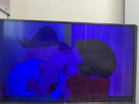 Pnasonic テレビ　49インチ　TH-49D300 画面が青い テレビの色調整でお尋ねします。 - 実家にあるパナソニックの