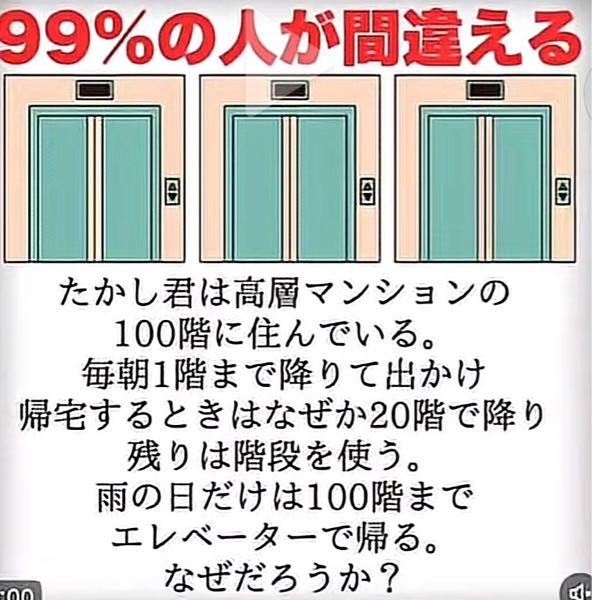 たかしくん ハイ！様 専用 【公式通販】
