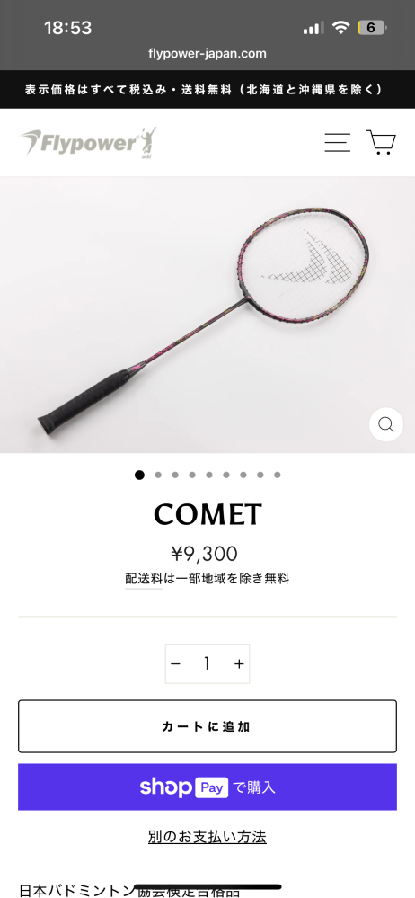 バドミントンラケットで、FlypowerさんのTizonaを購入しようか検