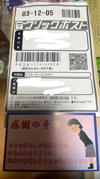 家にこんな手紙がネコポスで届きました。多分SHEINで買った商