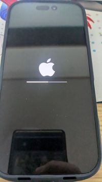至急質問です!iphoneを初期化しているのですが、この状態