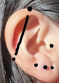 片耳ですがこのようにピアスをあけたいです！開ける位置どう