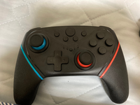 Switchの非純正コントローラーを購入して1ヶ月は使ってい