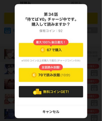 これは千円以上チャージしたお金で購入しないとしないと戻って来