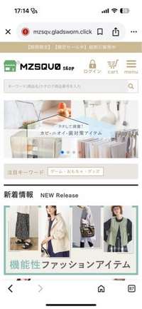 なかなかページ他の人は購入出来ません お恥ずかしながら、こちらのサイトで商品を購入してしまったの