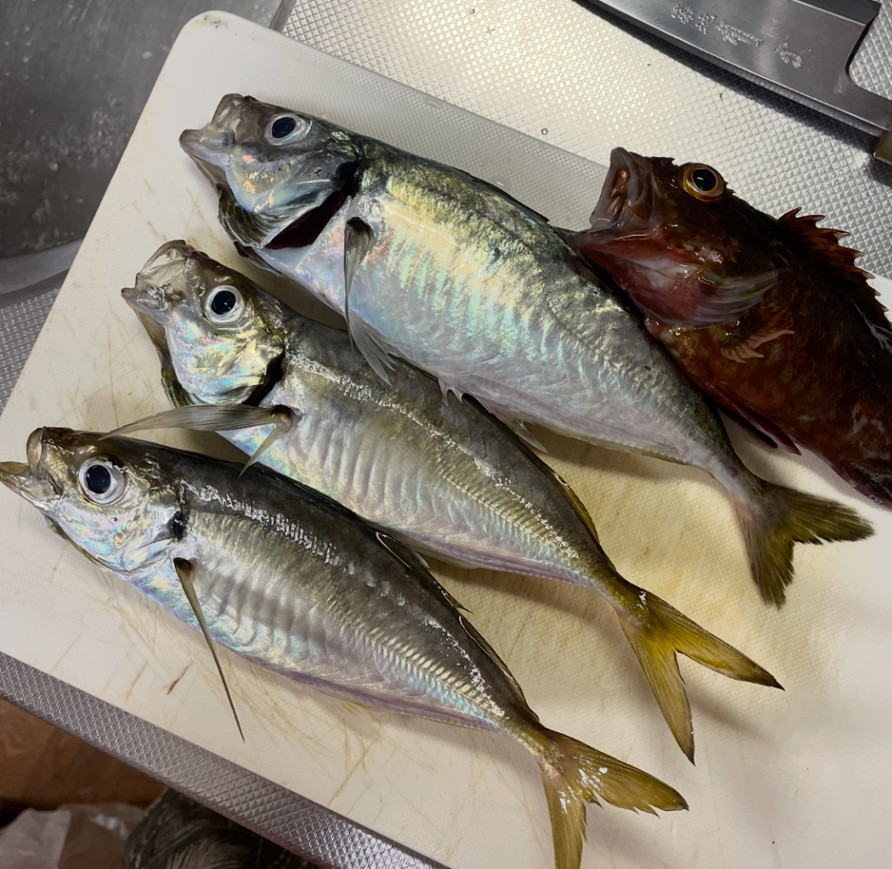 ビミニツイストについて質問です。PE１６lbとかの細いPEラインをビミニ... - Yahoo!知恵袋