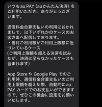 添付画像に貼った内容がSMS(ショートメッセージ)から届きました