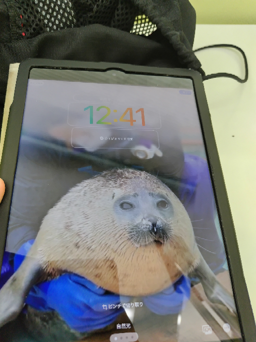 iPadpro12.9インチ第3世代(カメラが一個しか無いモデル)の購