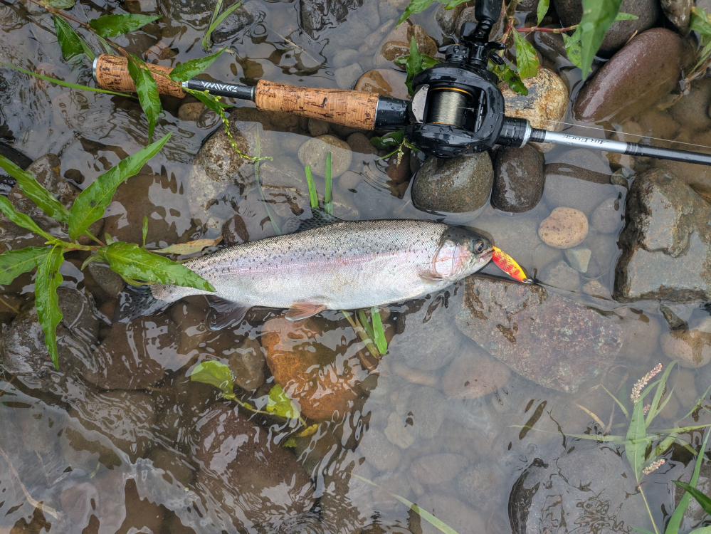 宇崎日新 マルチスクエア アクション鯉 超硬6307 宇崎日新 NISSIN