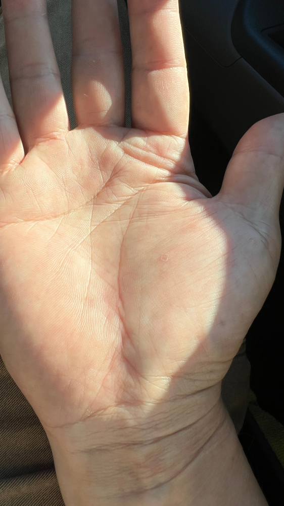 この手相は良いでしょうか？詳しく教えて欲しいです。 - 手相を拝見