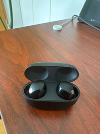 5日前SONYのWF-1000XM5の右側のイヤホンを外でなくしました
