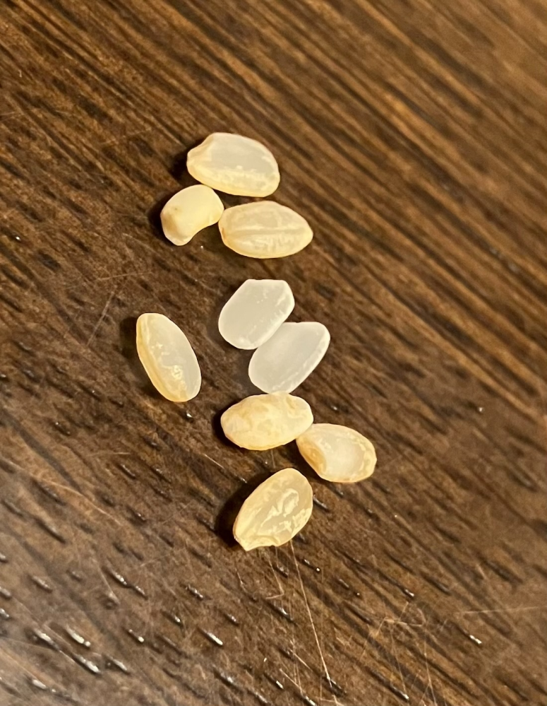 精米したお米について精米機で上白で精米しました。2/3程は真っ白のお