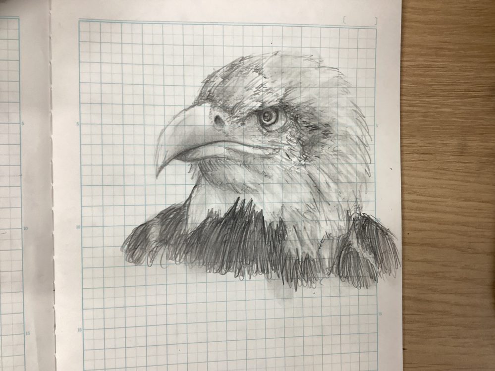 中学2年生の俺からの、俺が描いた絵についての質問です。俺は絵 