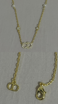 Dior ネックレス ※かなり値下げしました Christian Dior ディオール シルバー ネックレス DIOR 関税込み