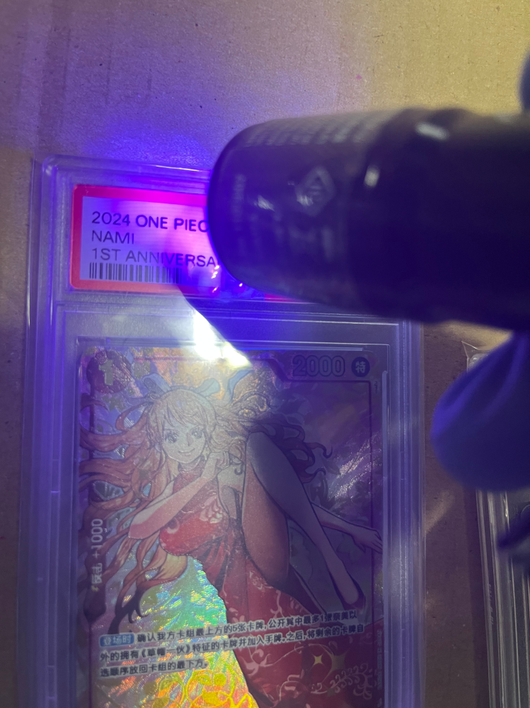 専用キテイ様　商品引渡し済み　キャンセル後再取引用 C-2 ❘ ピボットヒンジ ❘ ニュースター（NEWSTAR