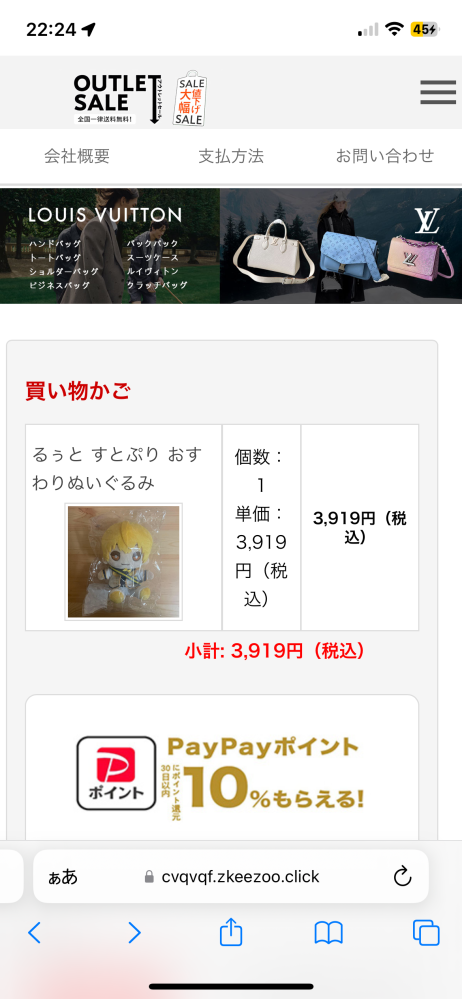 このショッピングサイトに欲しいものがあったのですが、詐欺ですか