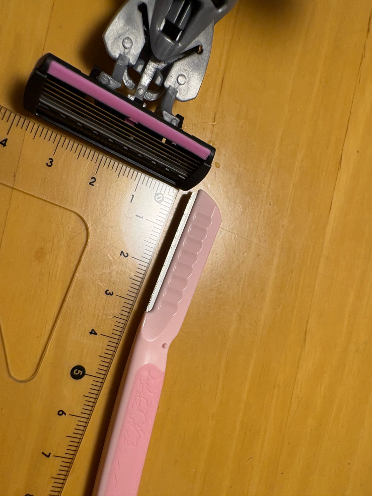 このカミソリ2つは飛行機で手荷物として持っていくことは可能で 