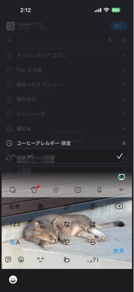 メルカリで取引中です。私が出品者で、商品は今日メルカリ便ネコポスで