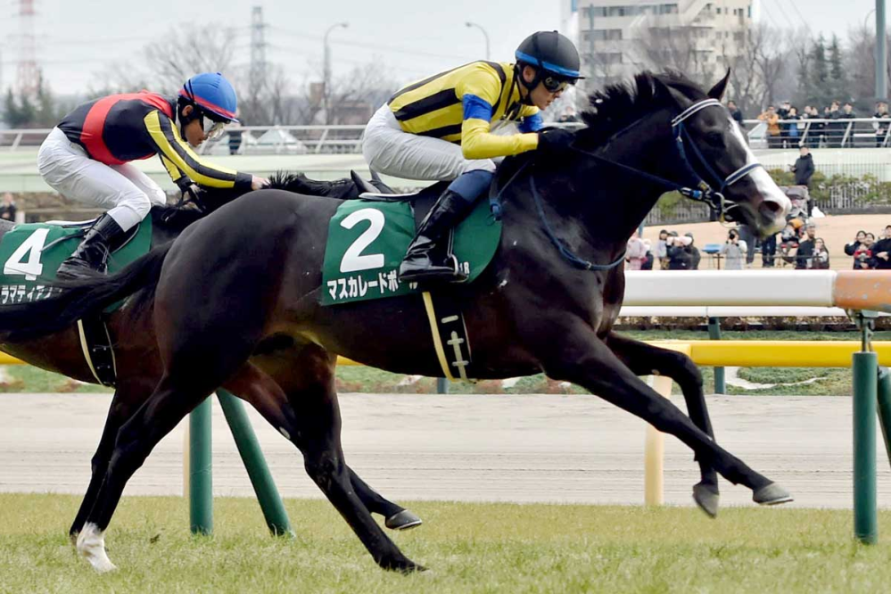 競馬 応援タオル クロワデュノール ミュージアムマイル マスカレード