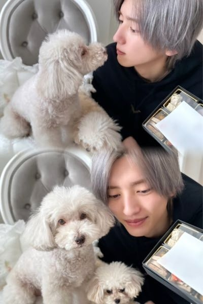 画像のように、2枚の写真の境目をなくして、ぼや〜っとする加工って