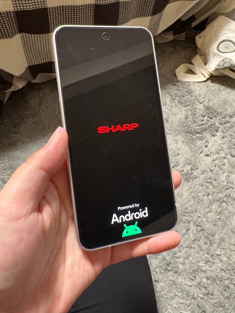 一応起動するが画面を閉じると音がする事もあるSA1F00ACアダプター無し SHARPSense10を起動しても初期画面から進みません。どうしたら