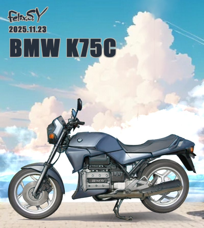 アイルトンセナ自転車