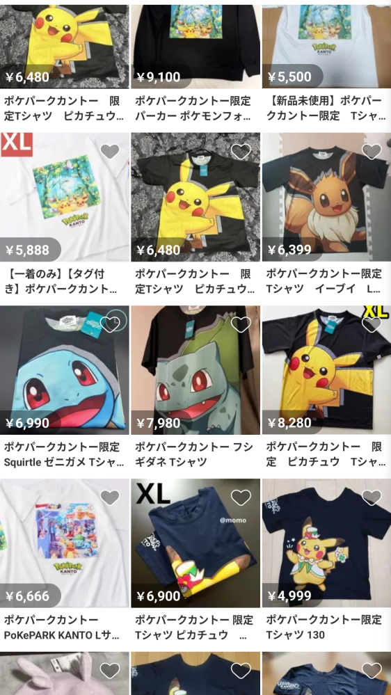 ポケパークカントーに行った方に質問です。メルカリにて見つけた