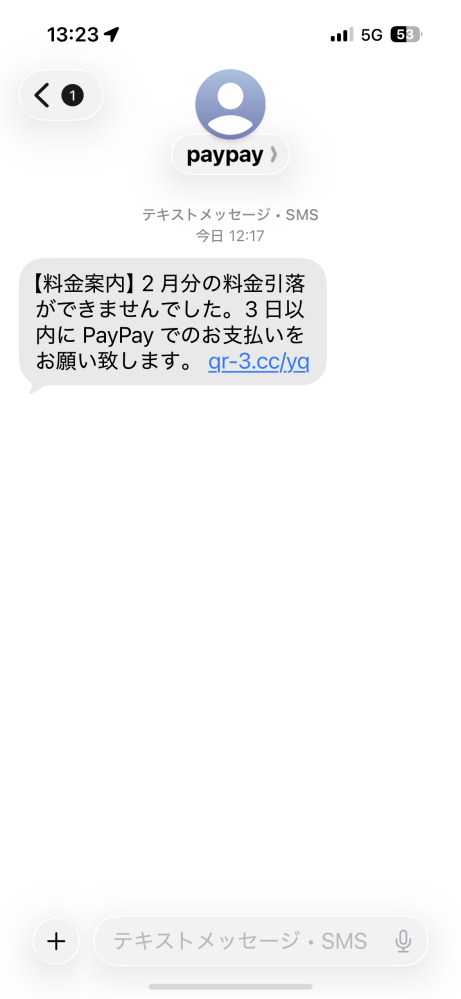 今朝PayPayからこんなsmsが届きました自分はPayPayを使って... - Yahoo 