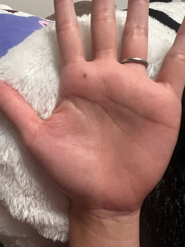 下記の詐欺メールがきました絶妙なタイミングで商品に不備があったため