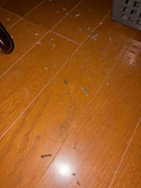 生き物のフンの可能性がある写真貼ってあります。食事中の方や 