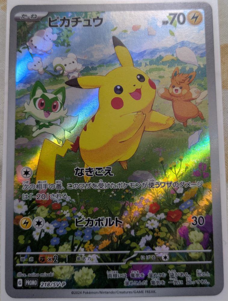 ご質問させていただきます。ポケモンカードの「みんなでぼうけん