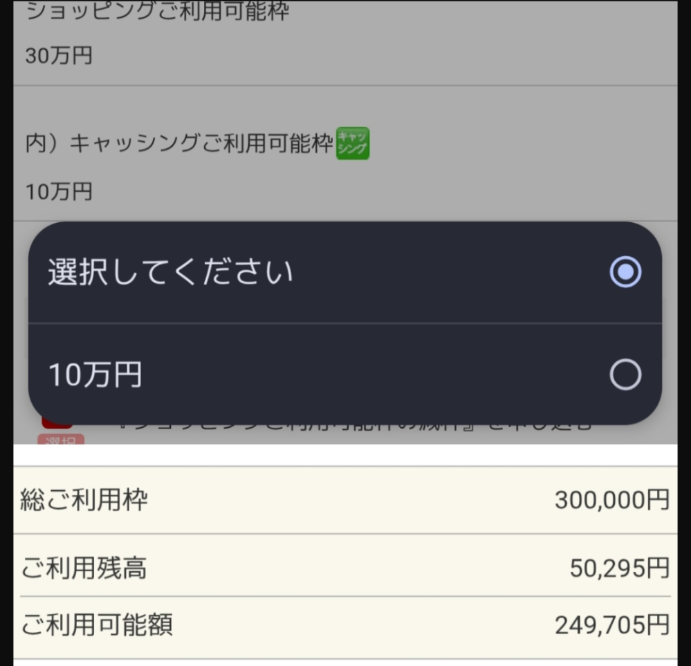 数ヶ月前大きい買い物をするために楽天カードの利用枠を30万にしたの