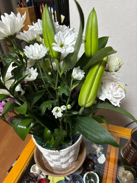 先日親戚からカサブランカと他の花がついた花壇をもらいました