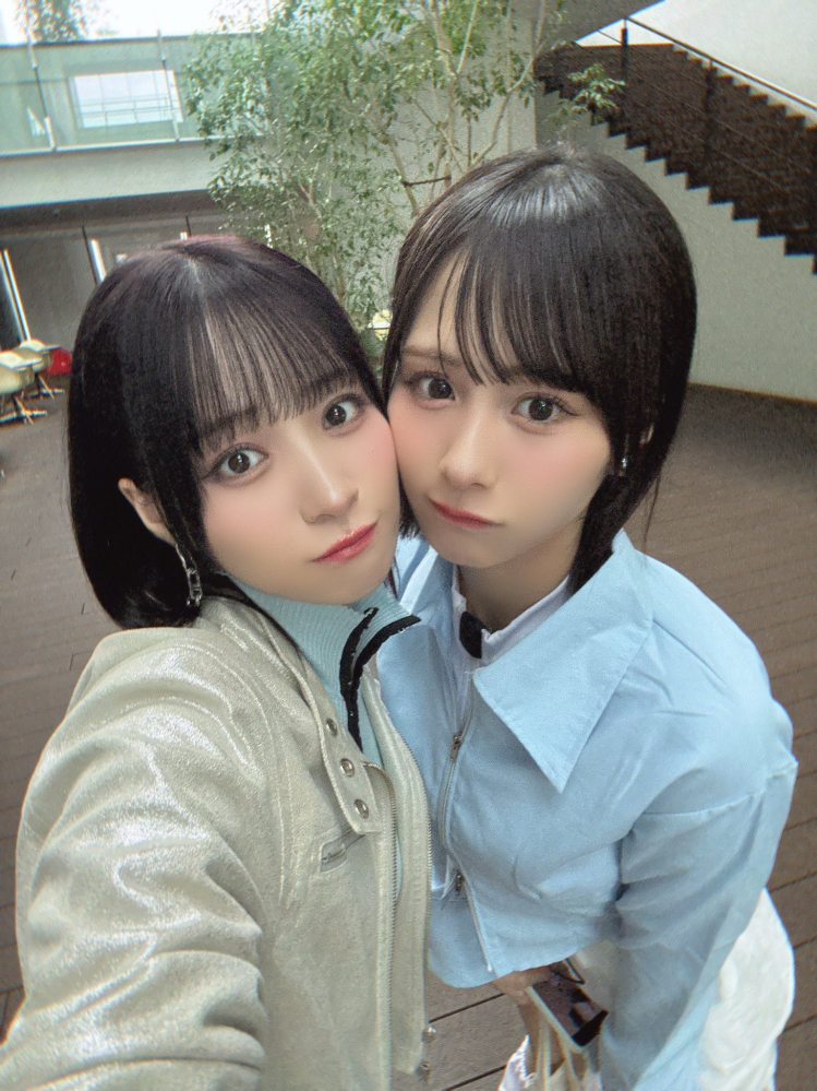 櫻坂46の封入も含めた生写真の発売順わかる方いたら教えて欲しいです