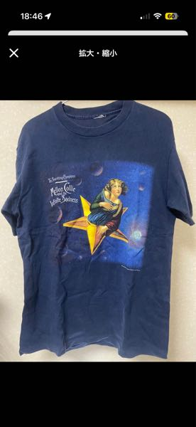 ヴィンテージTシャツに詳しい方、お願いします。このスマパンの