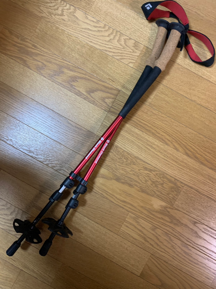 オガサガのスキー板で質問です。オガサカのパウダーガールという