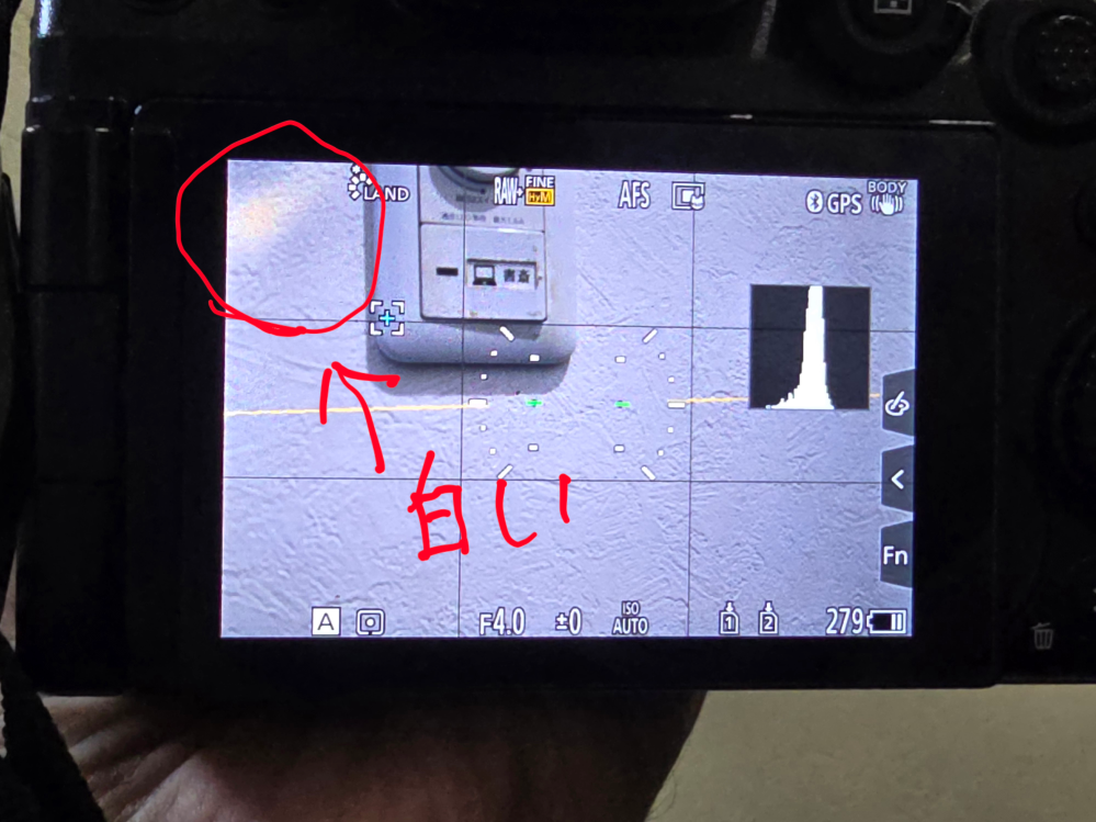 パナソニックのLUMIXS5ⅱを使ってます。 - ある時から写真のよう
